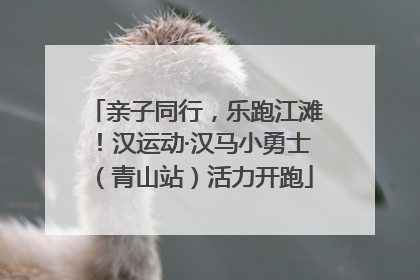亲子同行，乐跑江滩！汉运动·汉马小勇士（青山站）活力开跑