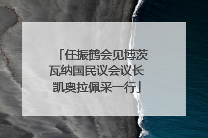 任振鹤会见博茨瓦纳国民议会议长凯奥拉佩采一行