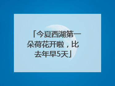 今夏西湖第一朵荷花开啦，比去年早5天