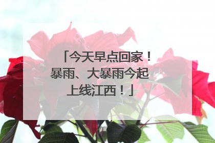 今天早点回家！暴雨、大暴雨今起上线江西！