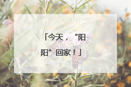今天，“阳阳”回家！
