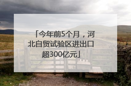 今年前5个月，河北自贸试验区进出口超300亿元