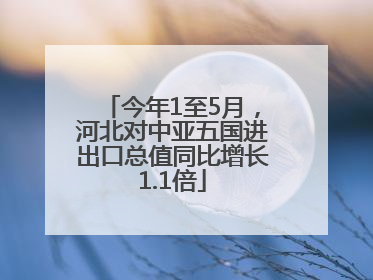 今年1至5月，河北对中亚五国进出口总值同比增长1.1倍
