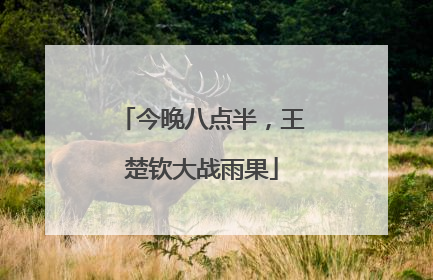 今晚八点半，王楚钦大战雨果