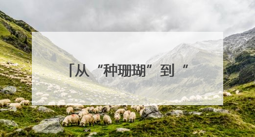 从“种珊瑚”到“育珊瑚” 海底“造林”有了新进展