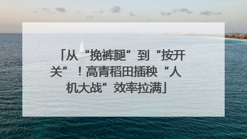 从“挽裤腿”到“按开关”！高青稻田插秧“人机大战”效率拉满