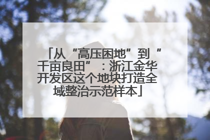 从“高压困地”到“千亩良田”：浙江金华开发区这个地块打造全域整治示范样本