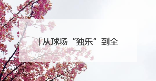 从球场“独乐”到全民“众乐”！淄博高新区解锁健身新力量