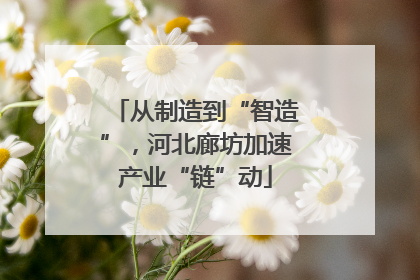 从制造到“智造”，河北廊坊加速产业“链”动