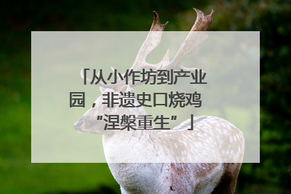 从小作坊到产业园，非遗史口烧鸡“涅槃重生”