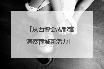 从西博会成都馆洞察蓉城新活力