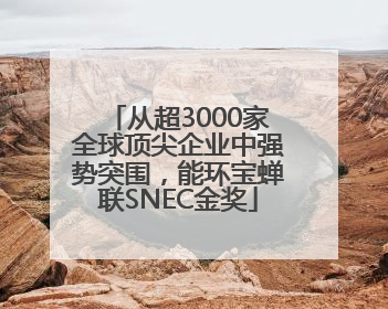 从超3000家全球顶尖企业中强势突围，能环宝蝉联SNEC金奖