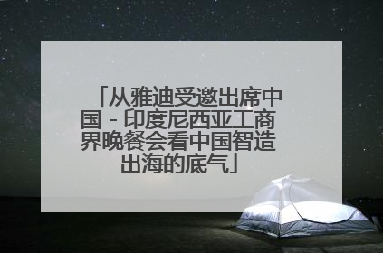 从雅迪受邀出席中国－印度尼西亚工商界晚餐会看中国智造出海的底气