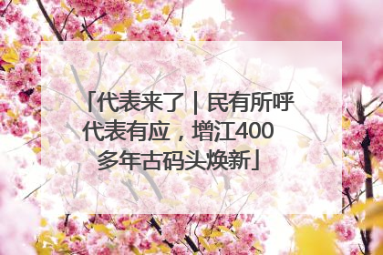 代表来了｜民有所呼代表有应，增江400多年古码头焕新