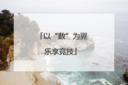 以“数”为翼 乐享竞技