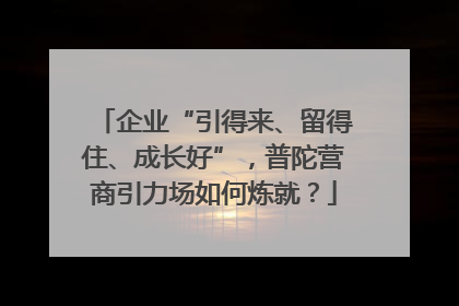 企业“引得来、留得住、成长好”，普陀营商引力场如何炼就？
