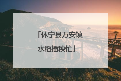 休宁县万安镇水稻插秧忙