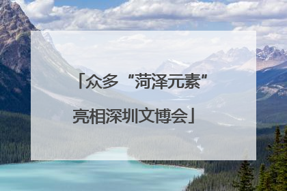 众多“菏泽元素”亮相深圳文博会