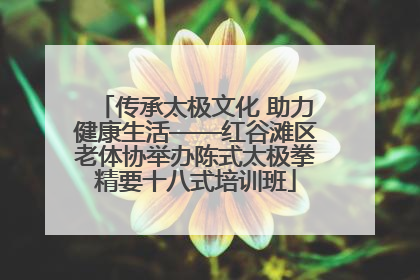 传承太极文化 助力健康生活——红谷滩区老体协举办陈式太极拳精要十八式培训班
