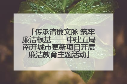 传承清廉文脉 筑牢廉洁根基——中建五局南开城市更新项目开展廉洁教育主题活动