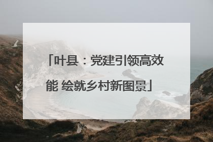 叶县：党建引领高效能 绘就乡村新图景