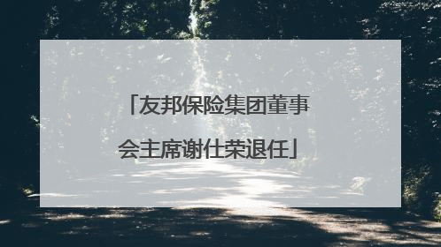 友邦保险集团董事会主席谢仕荣退任