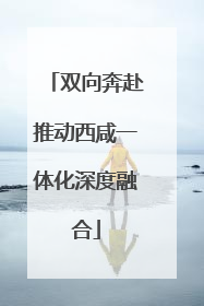 双向奔赴推动西咸一体化深度融合