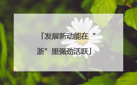 发展新动能在“浙”里强劲活跃