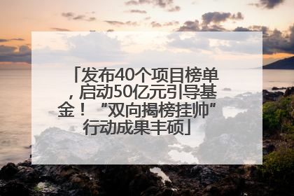 发布40个项目榜单，启动50亿元引导基金！“双向揭榜挂帅”行动成果丰硕
