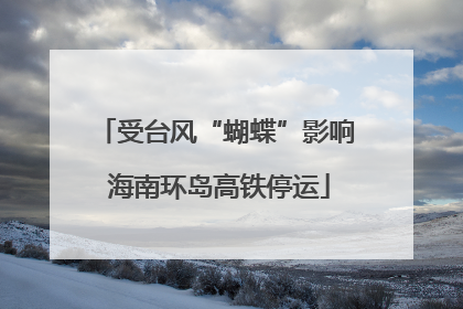 受台风“蝴蝶”影响 海南环岛高铁停运