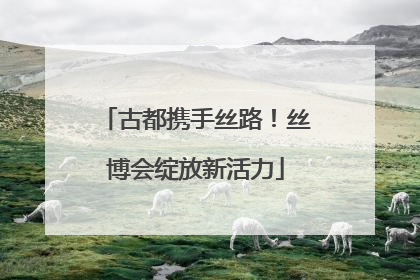 古都携手丝路！丝博会绽放新活力