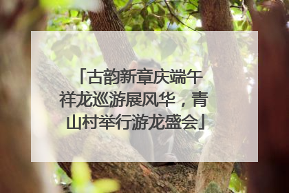 古韵新章庆端午 祥龙巡游展风华，青山村举行游龙盛会