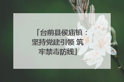 台前县侯庙镇：坚持党建引领 筑牢禁毒防线
