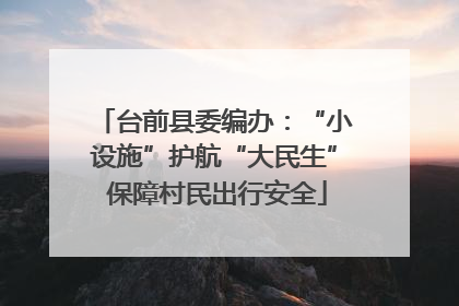 台前县委编办：“小设施”护航“大民生” 保障村民出行安全