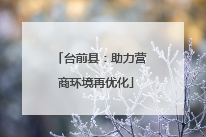 台前县：助力营商环境再优化