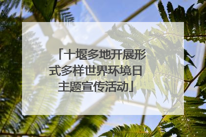 十堰多地开展形式多样世界环境日主题宣传活动