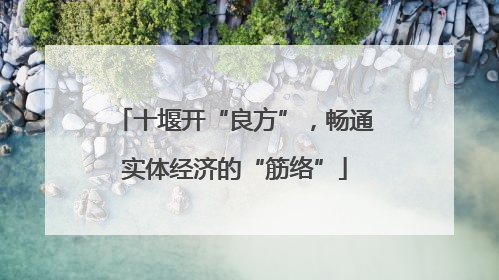 十堰开“良方”，畅通实体经济的“筋络”