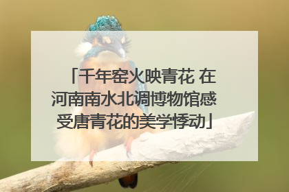 千年窑火映青花 在河南南水北调博物馆感受唐青花的美学悸动