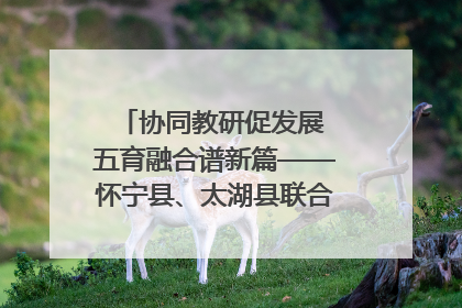 协同教研促发展 五育融合谱新篇——怀宁县、太湖县联合教研活动在月山镇中心学校成功举办