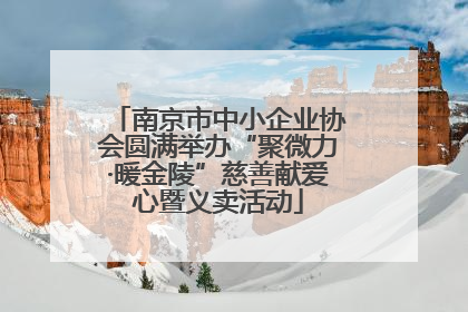南京市中小企业协会圆满举办“聚微力·暖金陵”慈善献爱心暨义卖活动