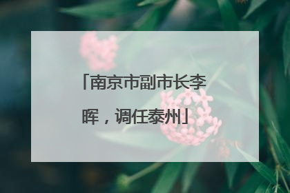 南京市副市长李晖，调任泰州