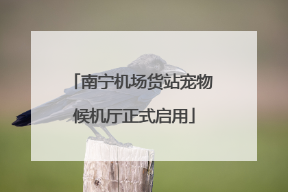 南宁机场货站宠物候机厅正式启用