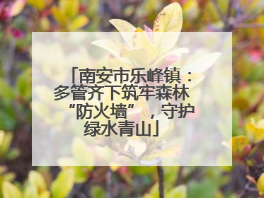 南安市乐峰镇：多管齐下筑牢森林“防火墙”，守护绿水青山