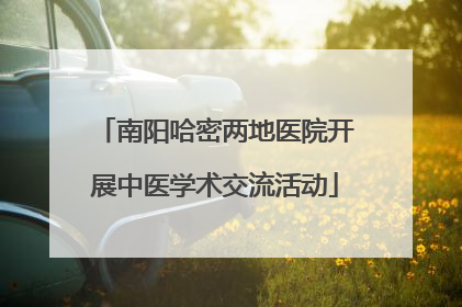 南阳哈密两地医院开展中医学术交流活动