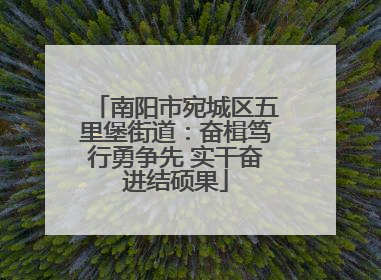 南阳市宛城区五里堡街道：奋楫笃行勇争先 实干奋进结硕果