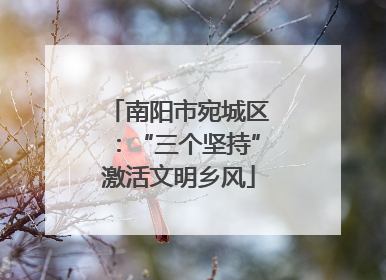 南阳市宛城区：“三个坚持”激活文明乡风