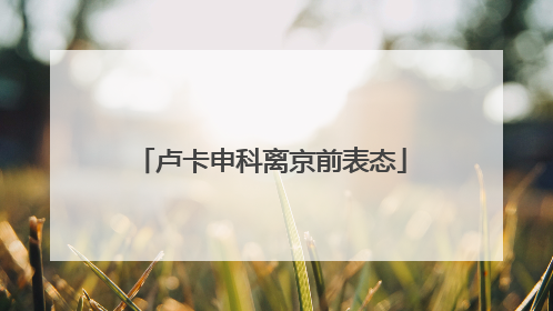 卢卡申科离京前表态