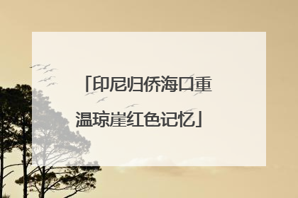 印尼归侨海口重温琼崖红色记忆