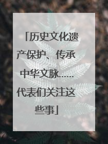 历史文化遗产保护、传承中华文脉……代表们关注这些事
