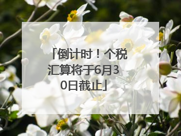 倒计时！个税汇算将于6月30日截止